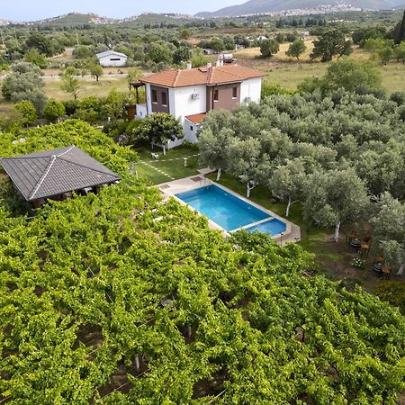 Отель Grape Datca Kizlan Экстерьер фото
